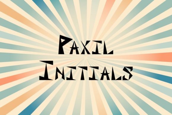 Paxil Initials: A Playful Display Font for Handmade Labels & Printables