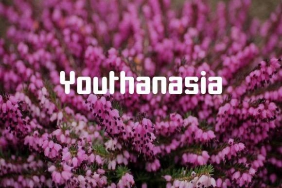 Youthanasia: A Bold, Friendly Display Font for Small Business Branding